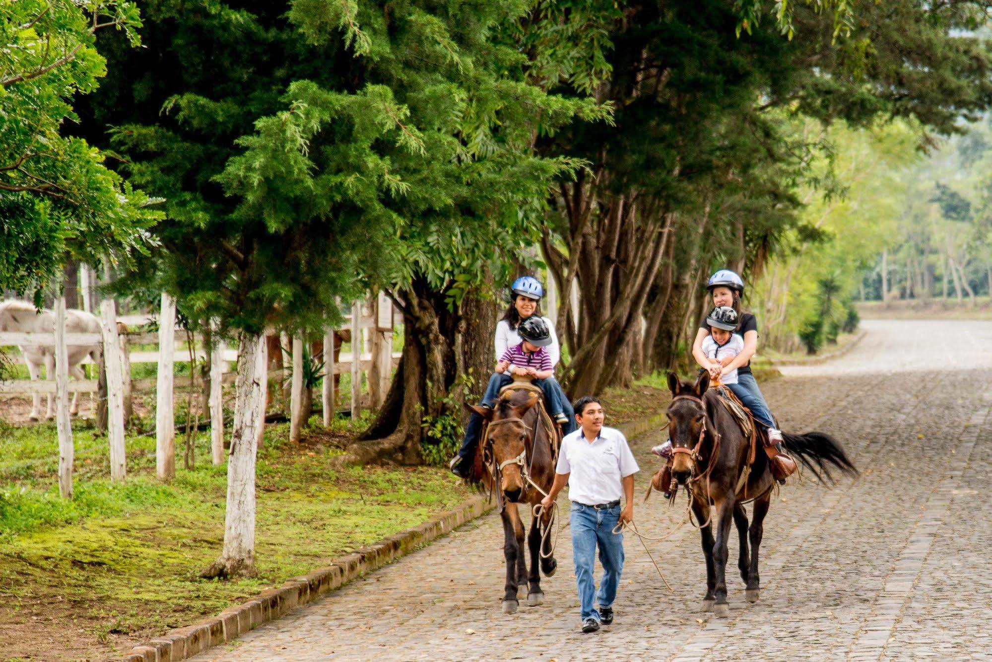 Filadelfia Coffee Resort & Tour Jocotenango Exterior foto